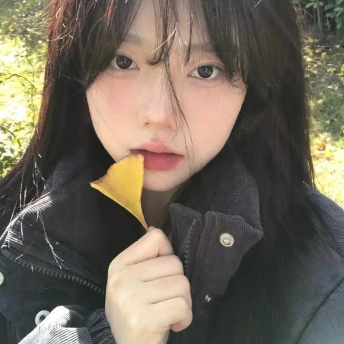 长毛狗