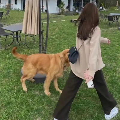 芝加哥警署第八季